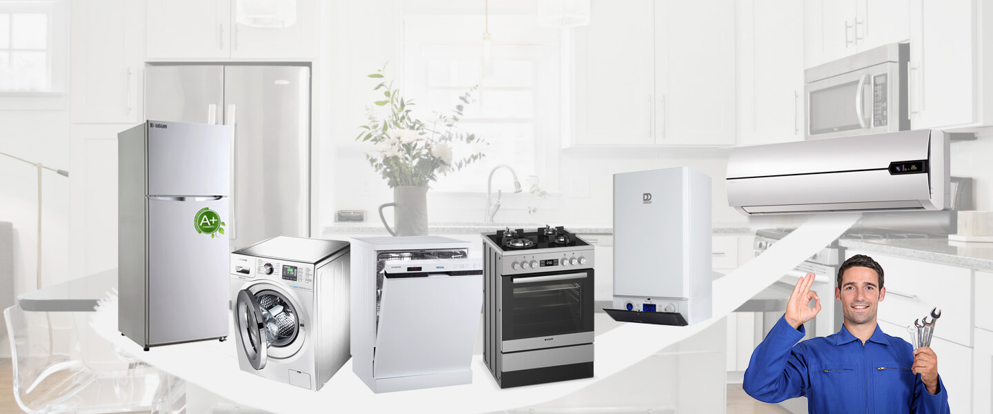 Bahçelerarası Viessmann Servisi